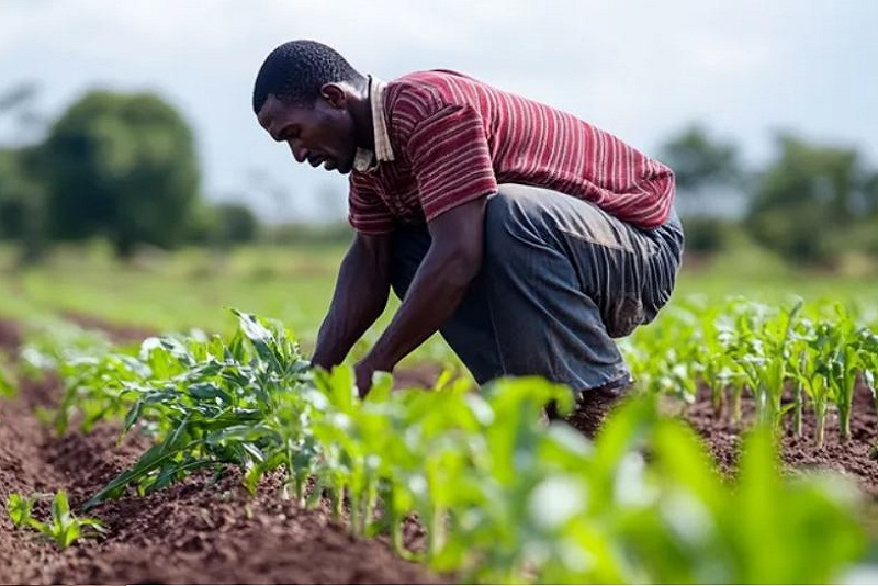 Sustainable impact systems