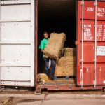 land-o-lakes-inc-Myx04QnYtqE-unsplash